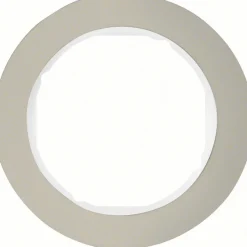 Berker R.Classic Kombinationsram Rostfri