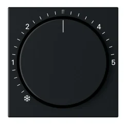 Gira System 55 Centrumplatta Termostat