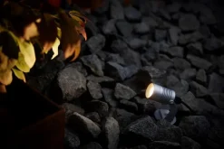 Hide a lite Spotlight Garden