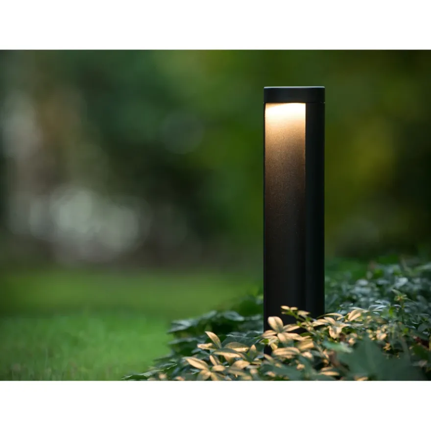 Lucide Combo 65 Pollare LED Svart