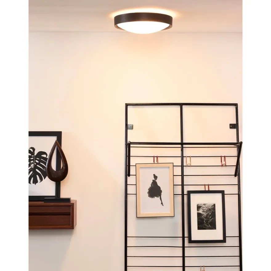 Lucide Lex Plafond Ø250 E27