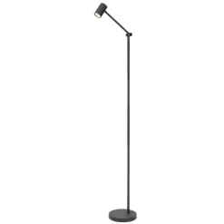 Lucide Tipik Golvlampa LED Svart
