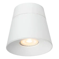 Lucide Trigono 1L Takspotlight